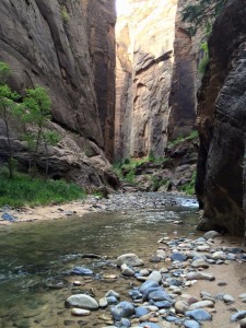 The Narrows of Zion National Park, Utah, July 1, 2015 | Photo by Hollie Reina, St. George News