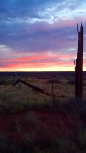 Nine power poles are knocked down during a storm in Apple Valley, Utah, July 3, 2015 | Photo Courtesy of Joan Dinneen, St. George News