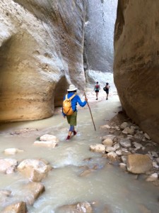 Exploring The Narrows in Zion National Park, July 1, 2015 | Photo by Hollie Reina, St. George News