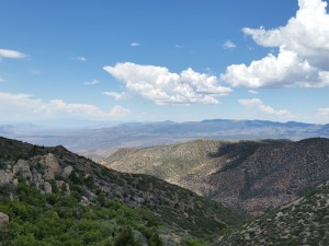 View from a fire lookout tower atop Mt. Elly, Nevada, June 13, 2015 | Photo by Julie Applegate, St. George News 