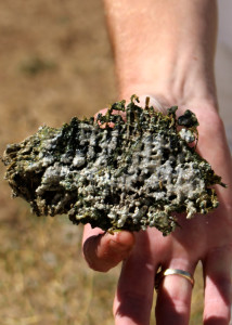 Piece of the moldy swamp cooler filter pad that the Langhans replaced, Mammoth Mobile Estates, Cedar City, Utah, August 28, 2015 | Photo by Carin Miller, St. George News