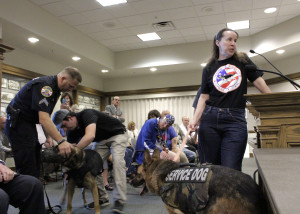 Vesting America's Police K-9's founder Cathy Williams describes vests at City Council as CCPD K-9 Duco receives his first vest,  Cedar City Council Chambers, Cedar City, Utah, August 12, 2015 | Photo by Carin Miller, St. George News