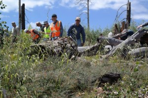 Emergency responders and volunteers search for 5-year-old Jerold Williams, Jacob Lake, Arizona, August 2015 | Photo courtesy of Coconino County Sheriff's Office, St. George News