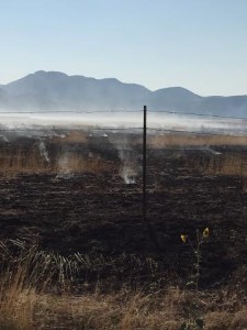 A fire spanning 50 acres is believed to have been caused by a bird, Cedar City, Utah, Aug. 18, 2015 | Photo courtesy of Iron County Sheriff's Office, St. George News