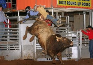 Corey Navarre meets his match on a Bar T Rodeo bull during a previous Dixie Roundup St. George Utah | Photo courtesy Bar T Rodeo company
