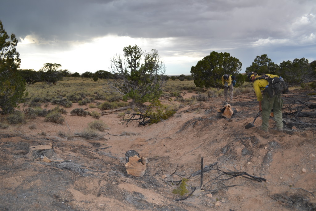 A lightning-caused wildfire burned some Cedar trees by the Cedar City Shooting Range, Cedar City, Utah, Sept. 13, 2015 | Photos by Emily Hammer, St. George News