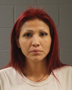 Cheryl Ann Herrera, of St. George, Utah, booking photo posted Sept. 19, 2015 | Photo courtesy of the Washington County Sheriff’s Office, St. George News