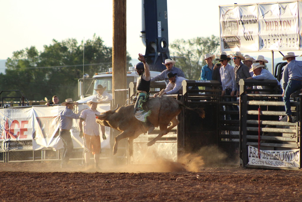 A bull-rider at the rodeo, Iron County Fair, Parowan, Utah, Sept. 6, 2015 | Emily Hammer St. George News