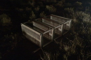 Plastic shelving that was originally left in the roadway of SR-59 near Apple Valley and ultimately caused a three-vehicle accident that sent tow boys to the hospital with minor injuries, Apple Valley, Utah, Sept. 17, 2015 | Photo by Mori Kessler, St. George News