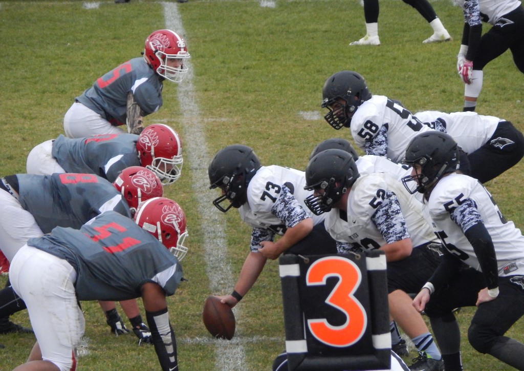 Third down was key for the Panthers, Pine View vs. Bear River, Garland, Utah, Oct. 30, 2015 | Photo by Shelly Griffin, St. George News