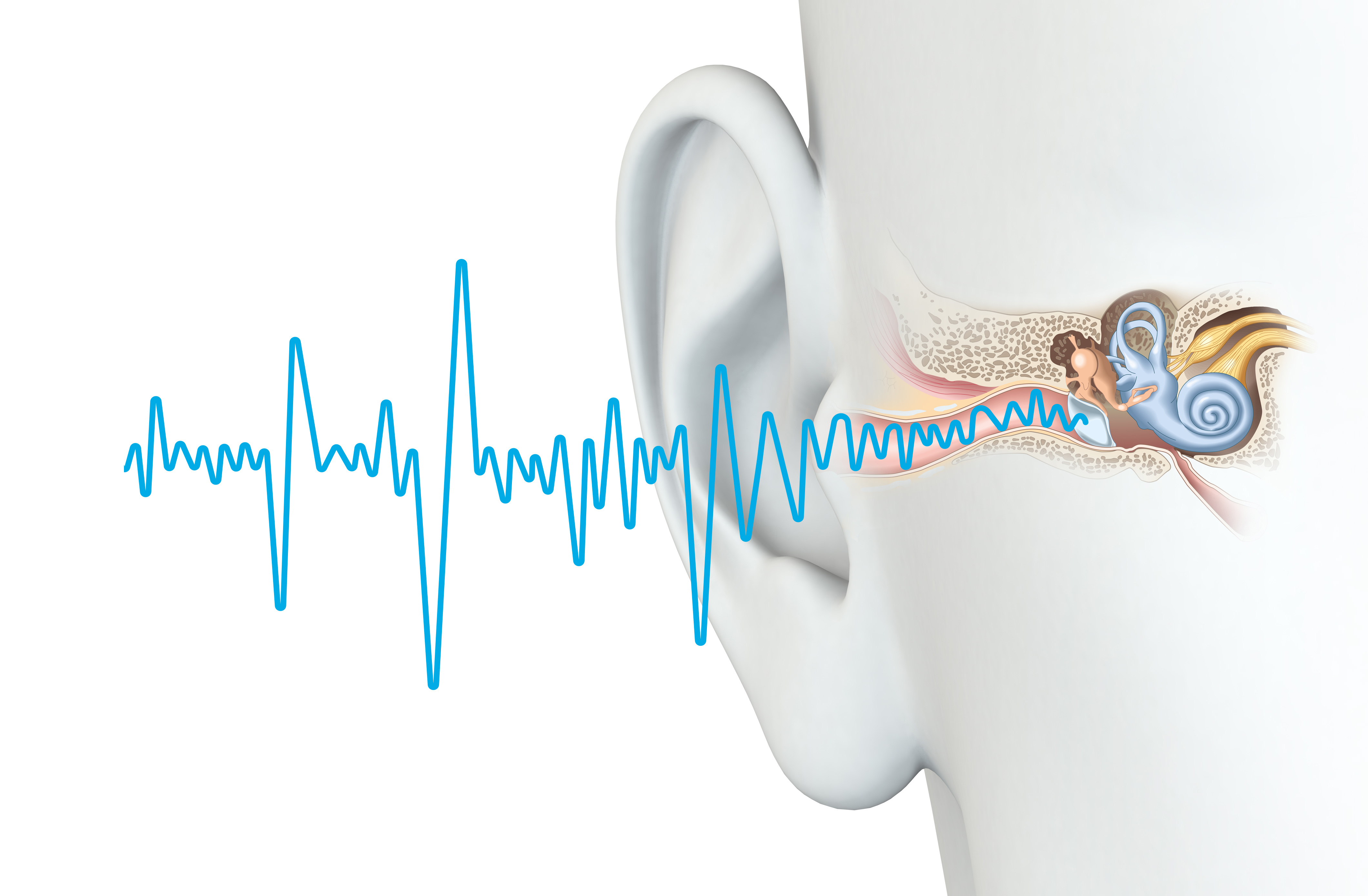 How Your Ears Can Cause Brain Shrinkage Dementia St George News