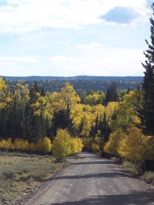 Autumn in the Dixie National Forest, Cedar City, Utah, undated | Photo courtesy Dixie National Forest, St. George News