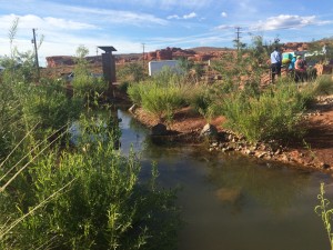 At the Red Hills Desert Garden, St. George, Utah , Oct. 7, 2015 | Photo by Mori Kessler, St. George News