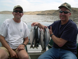 New fishing rules will make it easier to know when you and can't keep kokanee salmon in 2016, location unspecified, July 5, 2008 | Photo courtesy of Ron Stewart, Utah Division of Wildlife Resources, St. George News