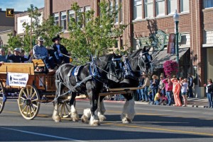 Cedar City Livestock & Heritage Festival, downtown Cedar City, Utah, Oct. 25, 2014 | Photo by Leanna Bergeron, St. George News