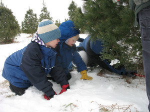 Young boys watch as their christmas tree is cut, location unspecified, Dec. 18, 2010 | Photo by Tricia J, St. George News