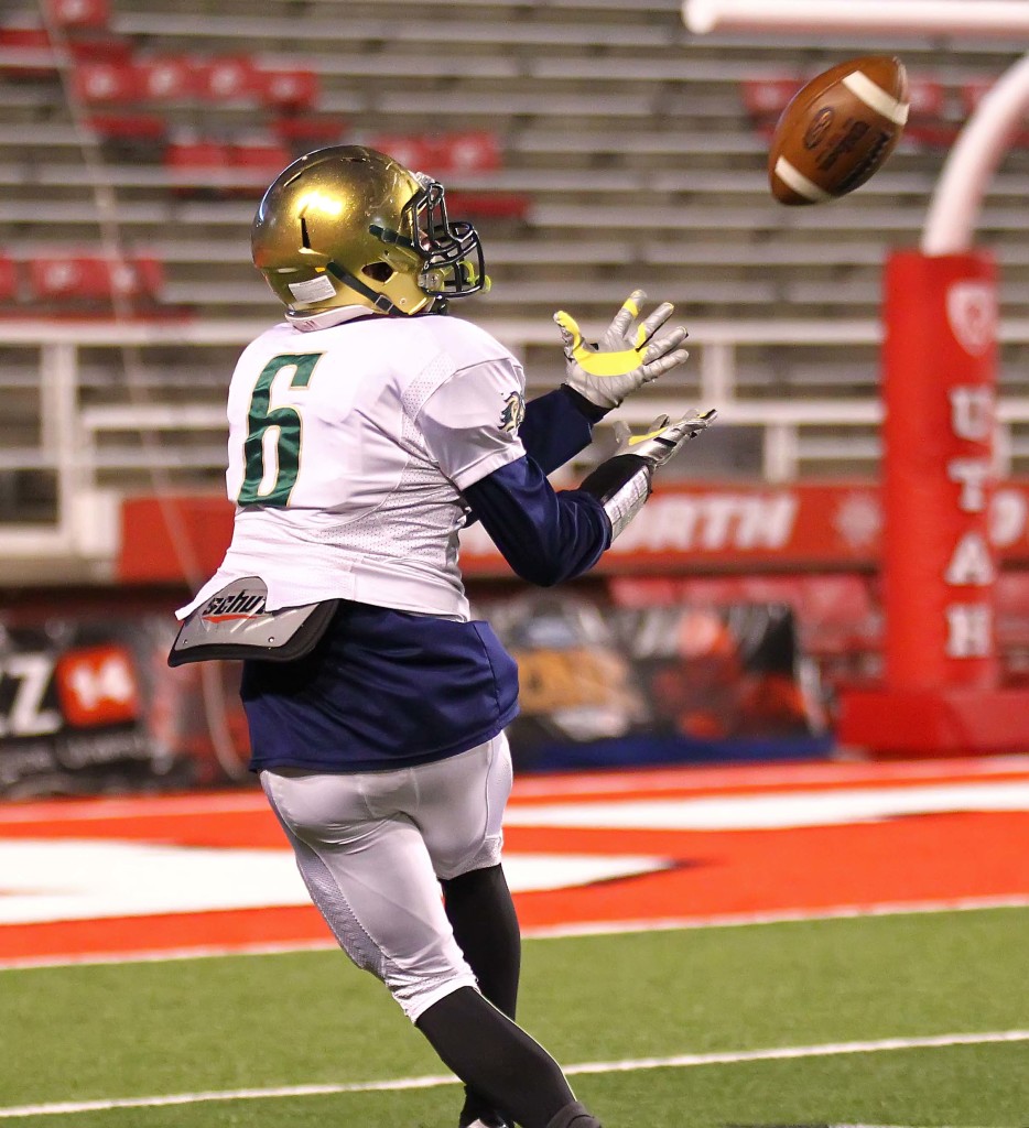 Snow Canyon's  Chris Poulsen (6) catches a long pass for a touchdown, Snow Canyon vs. Logan, 3AA Football Semifinals, Salt Lake City, Utah, Nov. 12th, 2015, | Photo by Robert Hoppie, ASPpix.com, St. George News