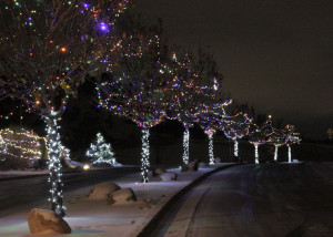 The 5th annual Christmas Lane storybook display in the 1200 N. 400 East area, Cedar City, Utah, Nov. 17, 2015 | Photo by Carin Miller, St. George News