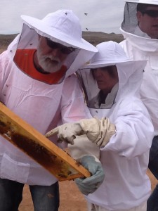 Students examine beehives at a beginning beekeeping class, Hurricane, Utah, February 2015 | Photo courtesy Muddy Bees Bakery, St. George News