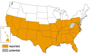 Triatomine Bug Occurrence by State | Image courtesy of the Center for Disease Control and Prevention, St. George News