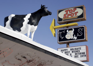 The famous cow sitting atop Top Spot, Cedar City, Utah, Dec. 17, 2015 | Photo by Carin Miller, St. George News