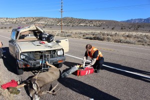 An elderly man was transported to the hospital by Life Flight after a buck jumped onto the hood of his truck on state Route 18 near milepost 14, Washington County, Utah, Dec. 2, 2015 | Photo by Ric Wayman, St. George News