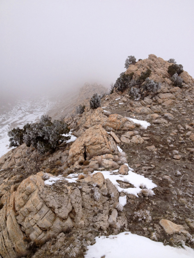 Chukars can be found on steep, rocky slopes | Photo courtesy of Jeff Callister, Utah Chukar and Wildlife Foundation, St. George News