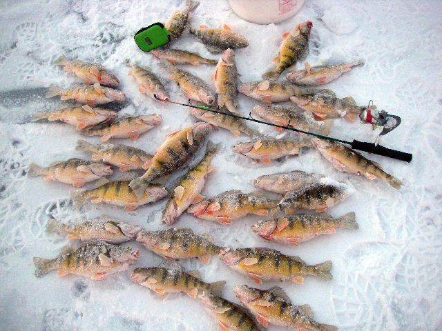Finding the depth where the fish are is the key to catching fish through the ice, location unspecified, Jan. 4, 2009 | Photo courtesy of Ray Schelble, St. George News