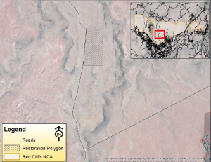 Map of 100-acre plot within the Wodbury Hardy Study Area, Beaver Dam Wash National Conservation Area, Washington County, Utah | Image courtesy of Washington County Habitat Conservation Advisory Committee