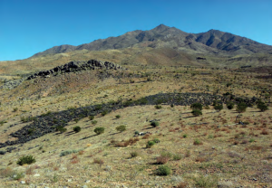 A burned area in the Beaver Dam Wash National Conservation Area, Washington County, Utah, photo undated | Photo courtesy of Bureau of Land Management St. George Field Office, St. George News