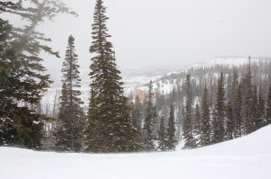 Beautiful winter scenes greet guests on the guided snowshoe hike at Cedar Breaks National Monument, Utah, January 16, 2016 | Photo by Hollie Reina, St. George News