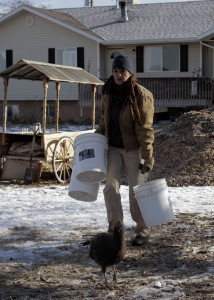 It takes multiple buckets of feed to feed the chickens, geese, ducks and other critters residing on the farm, Red Acre Farm CSA, Cedar City, Utah, Jan. 13, 2016 | Photo by Carin Miller, St. George News