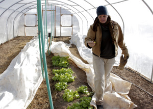 One of the greenhouses on the property where produce is still thriving in the middle of winter, Red Acre Farm CSA, Cedar City, Utah, Jan. 13, 2016 | Photo by Carin Miller, St. George News