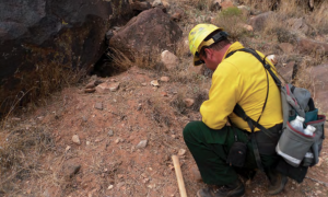 Monitoring desert tortoise burrows after a fire, Red Cliffs National Conservation Area, Washington County, Utah, photo undated | Photo courtesy of Bureau of Land Management St. George Field Office, St. George News