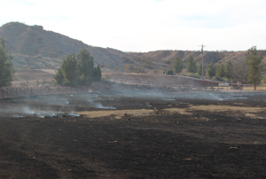 The Washington City Fire Department responded to the report of brush fire in the area of 3000 E. Washington Dam Road, Washington City, Utah, Jan. 25, 2016 | Photo by Mori Kessler, St. George News