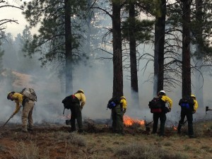 Wildland Firefighters, Area not specified, Utah | Photo courtesy of WIWF, Dixie National Forest, St. George News 