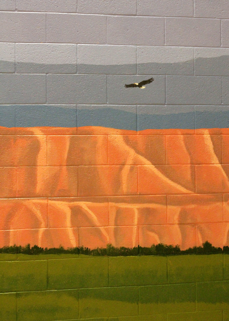A bald eagle soars across the horizon in the outdoor landscape included in the 40-foot "Mural of Hope" painted by Southwest Utah Youth Center youth, Cedar City, Utah, Feb. 16, 2016 | Photo by Carin Miller, St. George News 