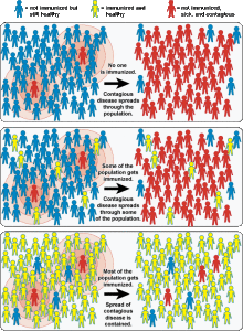 A chart showing how "herd" or "community immunity" works. | Image courtesy of Vaccines.gov, St. George News