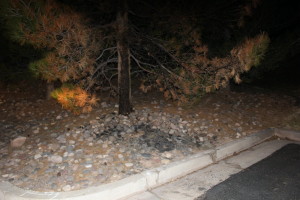 The St. George Fire Department responded to a shed fire at Pine View Middle School that investigators consider “very suspicious." A scorched tree across the parking lot from the site of the torched shed was also noticed by investigators, St. George, Utah, Feb. 23, 2016 | Photo by Mori Kessler, St. George News