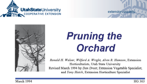 "Pruning the Orchard", University of Utah Extension, March, 1994, 