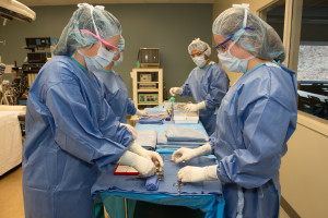 DSU students gain realistic operating room experience in the university’s surgery lab, Date and location not given | Photo courtesy of Dixie State University, St. George News