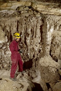 A scientist studies microbes and bats in a cave in the Grand Canyon-Parashant National Monument, date unspecified | Photo courtesy of Grand Canyon-Parashant National Monument, St. George News