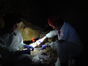 Scientists study microbes and bats in a cave in the Grand Canyon-Parashant National Monument, date unspecified | Photo courtesy of Grand Canyon-Parashant National Monument, St. George News