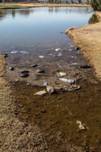 The pond where several birds and fish died Tuesday. St. George, Utah, Mar. 2, 2016 | Photo courtesy of Lynn Chamberlain, St. George News