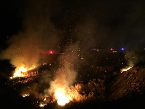 An agricultural burn spread out of control shutting down Interstate 15, Littlefield, Arizona, Feb. 29, 2016 | Photo by Kimberly Scott, St. George News