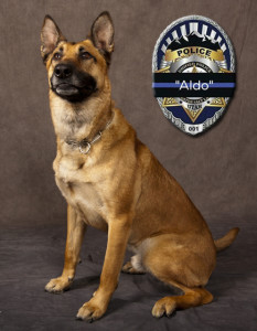 Unified Police K-9 Officer Aldo was shot and killed April 28 in the line of duty, photo location and date unspecified | Photo courtesy of Unified Police Department, St. George News