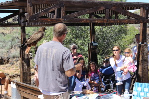 The Santa Clara City Desert Arboretum hosted a "Birds and Botany" event on Saturday, April 23, 2016 | Photo by Don Gilman, St. George News