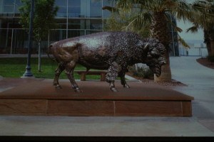 An image of the forthcoming bison statute bought for around $12,500 by students as a gift to the school, shown at the reveal of DSU's the new identity and mascot, St. George, Utah, April 11, 2016 | Photo by Mori Kessler, St. George News