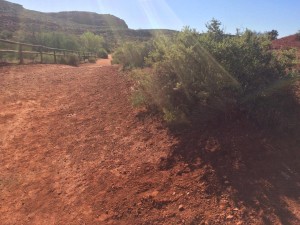 The spot where Tessa Molyneaux found the 1948 Dixie High School ring, St. George, Utah, April 2, 2016 | Photo courtesy of Cody Molyneaux, St. George News