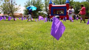 Flags commemorating foster children were planted on the lawn of Vernon Worthen park during the Utah Foster Care March for Kids event in St. George, Utah, May 27, 2016 | Photo by Don Gilman, St. George News